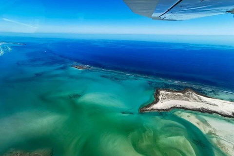 Wet Season Incredible Islands Tour - Horizontal Falls & Cygnet Bay Pearl Farm - Redcliffe Tourism 4