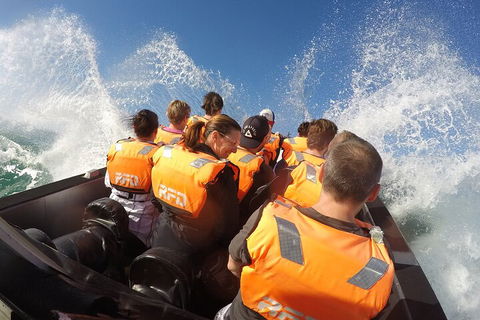 Noosa Thriller - 500hp Ocean Adventure Ride - Redcliffe Tourism 4