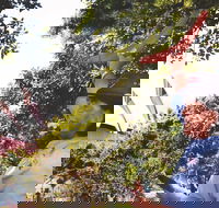 illi-Langi The Rocks Aboriginal Dreaming Tour - Redcliffe Tourism