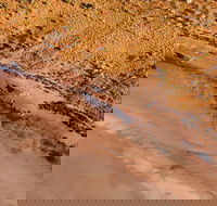 Scenic Flight Lizard Safari - Redcliffe Tourism