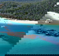 All Inclusive Tangalooma Wrecks Cruise Tour From Gold Coast - Redcliffe Tourism