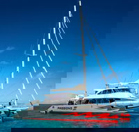 Passions of Paradise Great Barrier Reef Snorkel and Dive Cruise from Cairns by Luxury Catamaran - Redcliffe Tourism