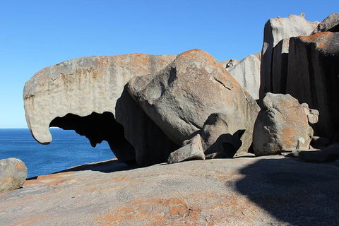 Kangaroo Island Personal Group Tours - Redcliffe Tourism 2