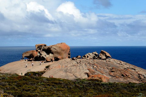 Kangaroo Island Personal Group Tours - Redcliffe Tourism 5