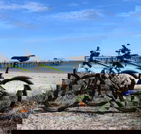 Adelaide City to Sea Bike Tour - Redcliffe Tourism