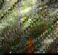 O'Reilly's  Lamington National Park from Gold Coast - Redcliffe Tourism