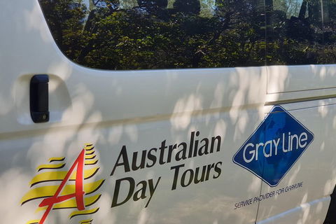 Natural Bridge Glow Worm Night Tour From Gold Coast - Redcliffe Tourism 5