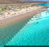 Ningaloo in a Day - Full Day Hike and Snorkel Tour with Lunch - Redcliffe Tourism