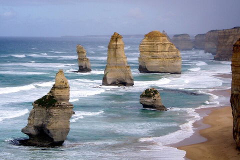 LGBT+ Friendly 2 Day Private Tour Great Ocean Road + Phillip Island - Redcliffe Tourism 0