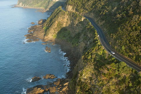 LGBT+ Friendly 2 Day Private Tour Great Ocean Road + Phillip Island - Redcliffe Tourism 4