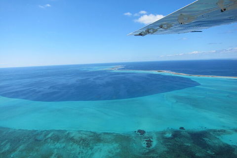 Shipwreck Special Full Day Tour Of The Abrolhos Islands - Redcliffe Tourism 2