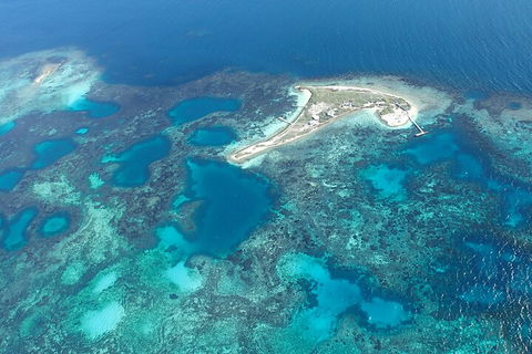 Shipwreck Special Nature Tour/Half Day Tour - Redcliffe Tourism 5