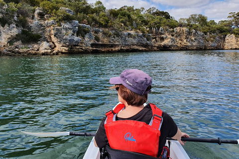 Cliffs And Caves Kayak Tour In Swan River - Redcliffe Tourism 0