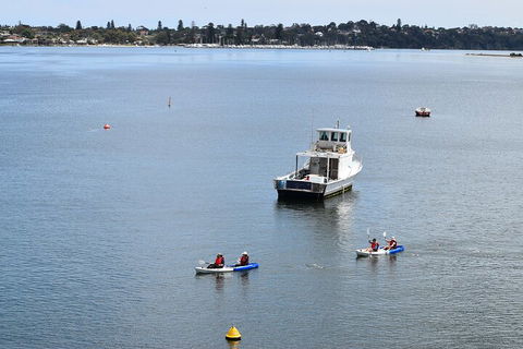 Cliffs And Caves Kayak Tour In Swan River - Redcliffe Tourism 2