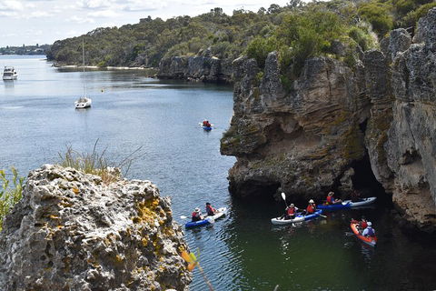 Cliffs And Caves Kayak Tour In Swan River - Redcliffe Tourism 5
