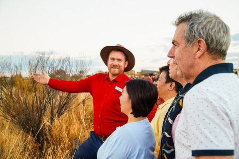 Uluru (Ayers Rock) Sunset With Outback Barbecue Dinner And Star Tour - Redcliffe Tourism 3