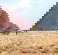 Uluru Sunrise and Guided Base Walk - Redcliffe Tourism
