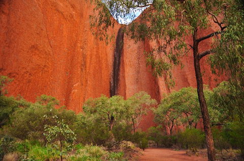 Uluru Sunrise And Guided Base Walk - Redcliffe Tourism 3