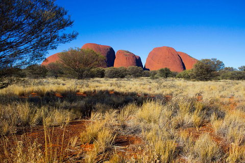 Kata Tjuta Sunrise And Valley Of The Winds Half-Day Trip - Redcliffe Tourism 1
