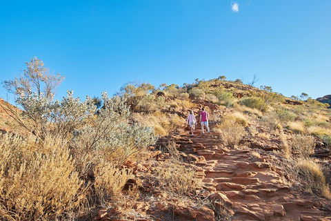 Kings Canyon Guided Rim Walk - Redcliffe Tourism 1