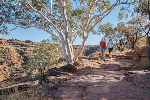 3-Day Tour From Uluru (Ayers Rock) To Alice Springs Via Kings Canyon - Redcliffe Tourism 1