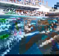 Great Barrier Reef Day Cruise from Cairns Including Snorkeling and Marine Biologist Presentation - Redcliffe Tourism