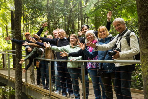 All Inclusive Blue Mountains Small-Group Day Trip From Sydney - Redcliffe Tourism 5