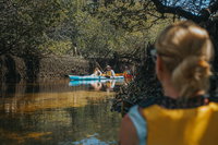 Kayak Tour in Adelaide Dolphin Sanctuary