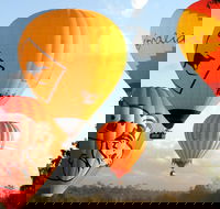 Natural Bridge  Springbrook Waterfalls Tour  Hot Air Balloon with Breakfast - Redcliffe Tourism