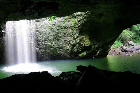Natural Bridge & Springbrook Waterfalls Tour + Hot Air Balloon With Breakfast - Redcliffe Tourism 2