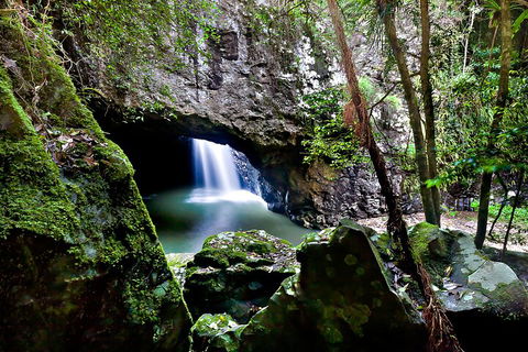 Natural Bridge & Springbrook Waterfalls Tour + Hot Air Balloon With Breakfast - Redcliffe Tourism 4
