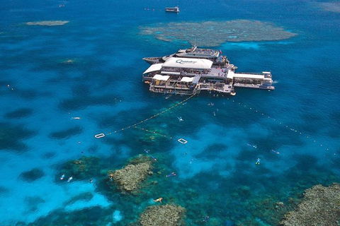 Quicksilver Outer Great Barrier Reef Snorkel Cruise From Palm Cove - Redcliffe Tourism 1