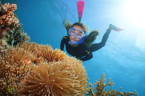 Quicksilver Outer Great Barrier Reef Snorkel Cruise From Palm Cove - Redcliffe Tourism 2