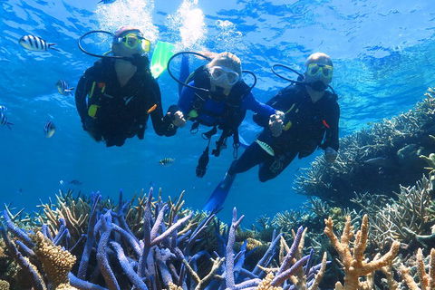 Quicksilver Outer Great Barrier Reef Snorkel Cruise From Palm Cove - Redcliffe Tourism 3