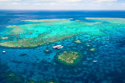 Quicksilver Outer Great Barrier Reef Snorkel Cruise From Palm Cove - Redcliffe Tourism 4