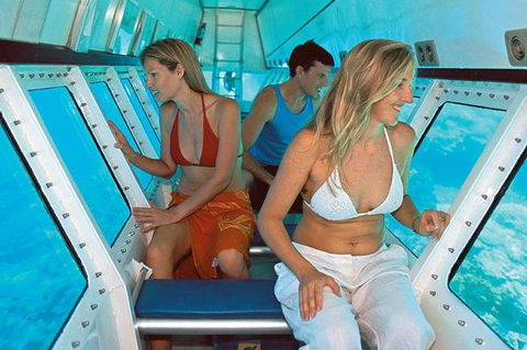 Quicksilver Outer Great Barrier Reef Snorkel Cruise From Palm Cove - Redcliffe Tourism 5