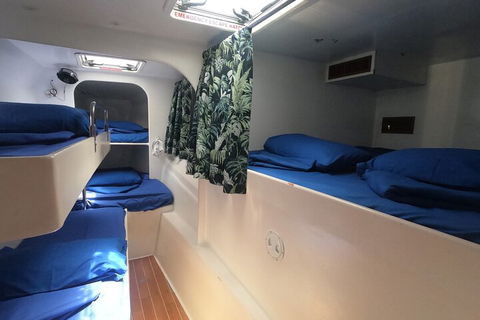 Sail, Snorkel, SUP & Kayak Charter Whitsundays - Redcliffe Tourism 4