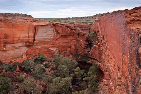 Uluru, Kata Tjuta And Kings Canyon Camping Safari From Ayers Rock - Redcliffe Tourism 1