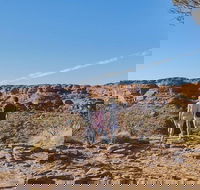 The Amazing Kings Canyon 4-Hours Walking Tour and Hike - Redcliffe Tourism
