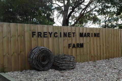 Active Day Tour One-Way From Launceston To Hobart Via Wineglass Bay - Redcliffe Tourism 3