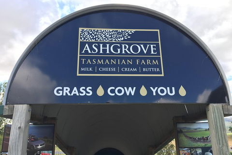 3-Day Tasmania Combo: Launceston To Hobart Active Tour Including Cradle Mountain, Freycinet National Park And Port Arthur - Redcliffe Tourism 4