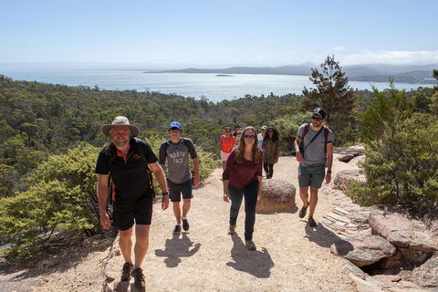 3-Day Tasmania Combo: Launceston To Hobart Active Tour Including Cradle Mountain, Freycinet National Park And Port Arthur - Redcliffe Tourism 5