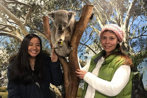 Australia Multi-City Attractions Pass - Redcliffe Tourism 3