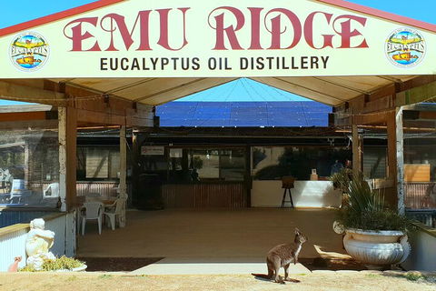 2-Day Kangaroo Island Safari From Adelaide - Redcliffe Tourism 4