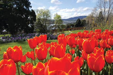 Hobart City Sightseeing Tour Including MONA Admission - Redcliffe Tourism 4