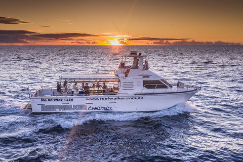 Kalbarri Sunset Coastal Cliff Cruise - Redcliffe Tourism 2