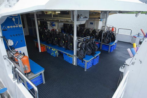 Silverswift Outer Great Barrier Reef Dive And Snorkel Cruise From Cairns - Redcliffe Tourism 0