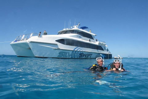Silverswift Outer Great Barrier Reef Dive And Snorkel Cruise From Cairns - Redcliffe Tourism 4