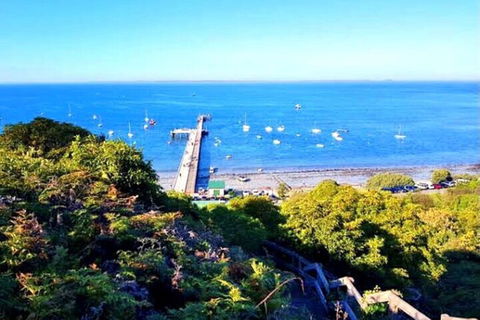 Mornington Peninsula Sightseeing Tour For 2-6 Guests. - Redcliffe Tourism 1