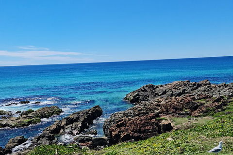 Private Custom Byron Bay Day Out - Redcliffe Tourism 4